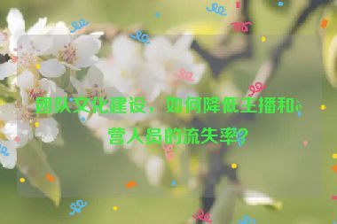 團(tuán)隊(duì)文化建設(shè)，如何降低主播和運(yùn)營人員的流失率？