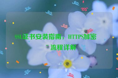 SSL證書安裝指南，HTTPS加密全流程詳解