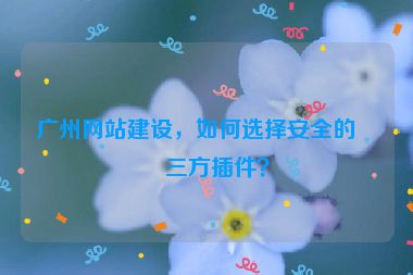 廣州網(wǎng)站建設(shè)，如何選擇安全的第三方插件？
