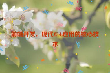 前端開發(fā)，現(xiàn)代Web應用的核心技術