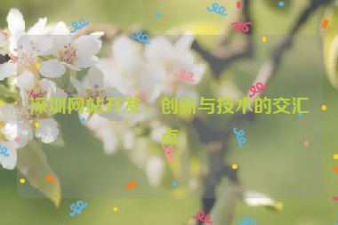 深圳網(wǎng)站開(kāi)發(fā)，創(chuàng)新與技術(shù)的交匯點(diǎn)
