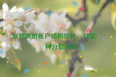 醫(yī)療競價賬戶結(jié)構(gòu)優(yōu)化，科室/病種分層策略
