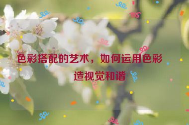色彩搭配的藝術(shù)，如何運用色彩創(chuàng)造視覺和諧