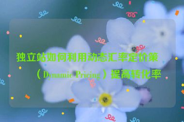 獨(dú)立站如何利用動(dòng)態(tài)匯率定價(jià)策略（Dynamic Pricing）提高轉(zhuǎn)化率