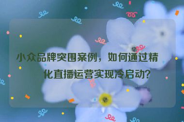小眾品牌突圍案例，如何通過精細(xì)化直播運營實現(xiàn)冷啟動？