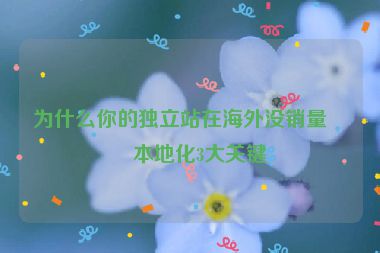 為什么你的獨(dú)立站在海外沒銷量？本地化3大關(guān)鍵