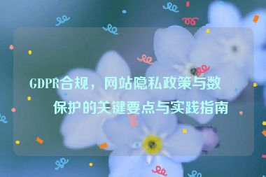 GDPR合規(guī)，網(wǎng)站隱私政策與數(shù)據(jù)保護(hù)的關(guān)鍵要點(diǎn)與實(shí)踐指南