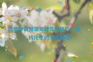跨境電商圖像處理優(yōu)化技巧，提升轉(zhuǎn)化率的關(guān)鍵策略