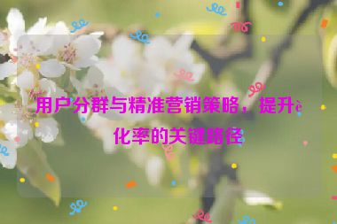 用戶分群與精準(zhǔn)營(yíng)銷策略，提升轉(zhuǎn)化率的關(guān)鍵路徑