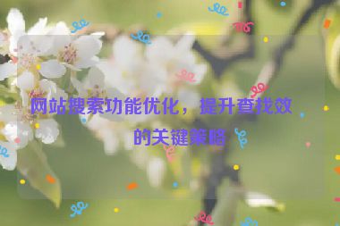 網(wǎng)站搜索功能優(yōu)化，提升查找效率的關鍵策略