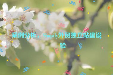 案例分析，Shopify外貿(mào)獨(dú)立站建設(shè)經(jīng)驗(yàn)