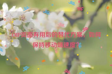 AMP頁面棄用后的替代方案，如何保持移動端速度？