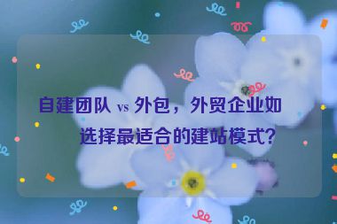 自建團隊 vs 外包，外貿(mào)企業(yè)如何選擇最適合的建站模式？