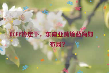 RCEP協(xié)定下，東南亞跨境藍(lán)海如何布局？