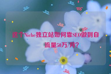 這個Niche獨立站如何靠SEO做到自然流量50萬/月？