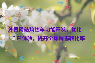外貿(mào)網(wǎng)站購(gòu)物車功能開發(fā)，優(yōu)化用戶體驗(yàn)，提高全球銷售轉(zhuǎn)化率