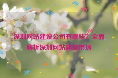 深圳網(wǎng)站建設(shè)公司有哪些？全面解析深圳網(wǎng)站建設(shè)市場(chǎng)
