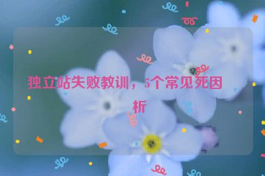 獨立站失敗教訓，5個常見死因分析