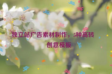 獨(dú)立站廣告素材制作，5種高轉(zhuǎn)化創(chuàng)意模板