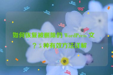 如何恢復(fù)被刪除的 WordPress 文章？5 種有效方法詳解