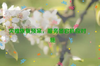 災難恢復預案，服務器宕機應對措施