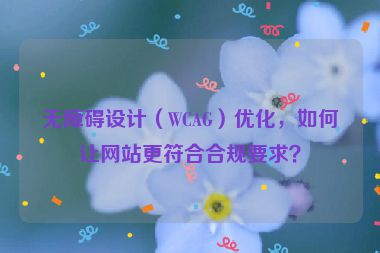 無障礙設計（WCAG）優(yōu)化，如何讓網站更符合合規(guī)要求？