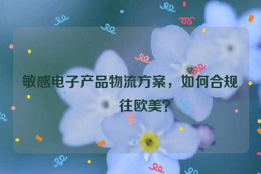 敏感電子產(chǎn)品物流方案，如何合規(guī)發(fā)往歐美？