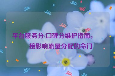 平臺服務(wù)分/口碑分維護(hù)指南，直接影響流量分配的命門