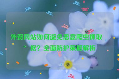 外貿(mào)網(wǎng)站如何避免惡意爬蟲(chóng)抓取數(shù)據(jù)？全面防護(hù)策略解析