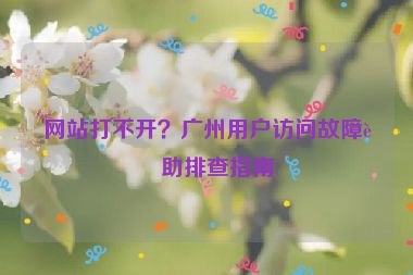 網(wǎng)站打不開？廣州用戶訪問故障自助排查指南