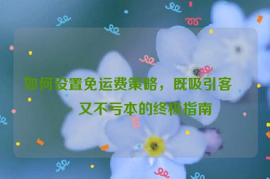如何設(shè)置免運(yùn)費(fèi)策略，既吸引客戶又不虧本的終極指南