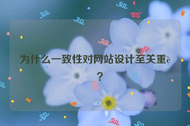 為什么一致性對網(wǎng)站設(shè)計至關(guān)重要？