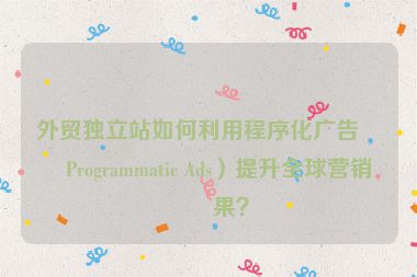 外貿(mào)獨(dú)立站如何利用程序化廣告（Programmatic Ads）提升全球營(yíng)銷效果？