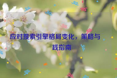 應(yīng)對(duì)搜索引擎格局變化，策略與實(shí)踐指南