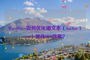 WordPress如何優(yōu)化錨文本（Anchor Text）提升SEO效果？