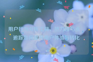 用戶行為分析工具，熱力圖與點擊追蹤如何提升用戶體驗與轉(zhuǎn)化率
