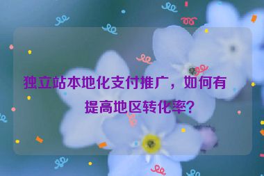 獨(dú)立站本地化支付推廣，如何有效提高地區(qū)轉(zhuǎn)化率？