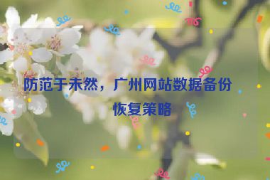 防范于未然，廣州網(wǎng)站數(shù)據(jù)備份與恢復(fù)策略