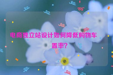 電商獨(dú)立站設(shè)計(jì)如何降低購物車棄置率？
