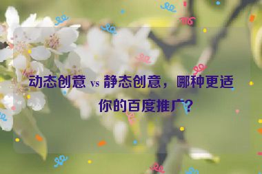 動(dòng)態(tài)創(chuàng)意 vs 靜態(tài)創(chuàng)意，哪種更適合你的百度推廣？