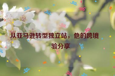 從亞馬遜轉(zhuǎn)型獨立站，他的跨境經(jīng)驗分享
