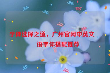 字體選擇之道，廣州官網(wǎng)中英文雙語字體搭配推薦