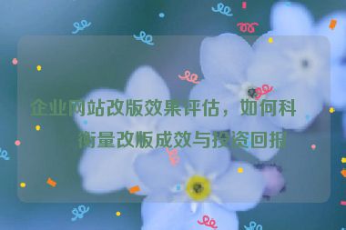 企業(yè)網(wǎng)站改版效果評(píng)估，如何科學(xué)衡量改版成效與投資回報(bào)