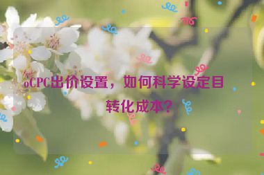 oCPC出價設(shè)置，如何科學(xué)設(shè)定目標(biāo)轉(zhuǎn)化成本？