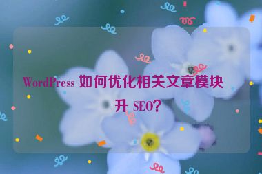 WordPress 如何優(yōu)化相關(guān)文章模塊提升 SEO？