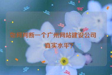 如何判斷一個廣州網(wǎng)站建設公司的真實水平？