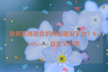 如何選擇適合的網(wǎng)站建設(shè)平臺？WordPress vs 自定義開發(fā)
