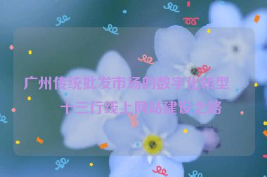 廣州傳統(tǒng)批發(fā)市場(chǎng)的數(shù)字化轉(zhuǎn)型，十三行線上網(wǎng)站建設(shè)之路