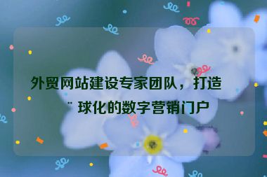 外貿(mào)網(wǎng)站建設(shè)專(zhuān)家團(tuán)隊(duì)，打造全球化的數(shù)字營(yíng)銷(xiāo)門(mén)戶(hù)