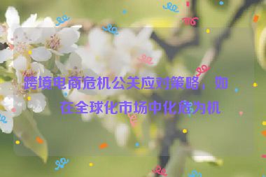 跨境電商危機(jī)公關(guān)應(yīng)對策略，如何在全球化市場中化危為機(jī)
